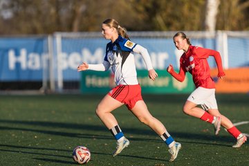Bild 231 - wBJ Hamburger SV - Holstein Kiel : Ergebnis: 8:0